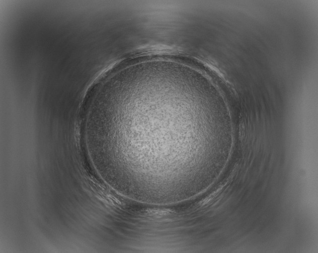 X0000076061309200610061526