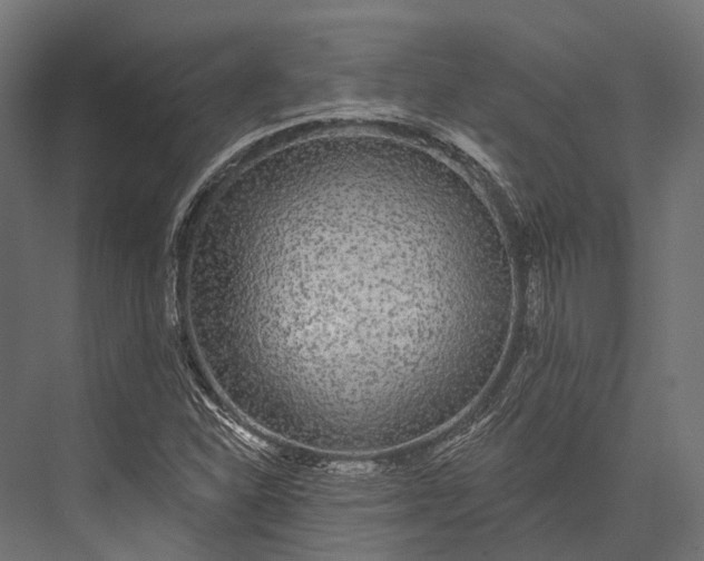 X0000076061310200610061526