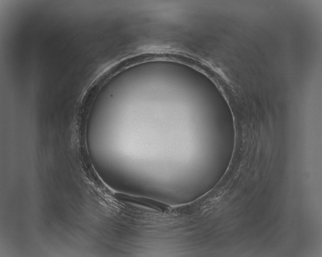 X0000076061311200610061526