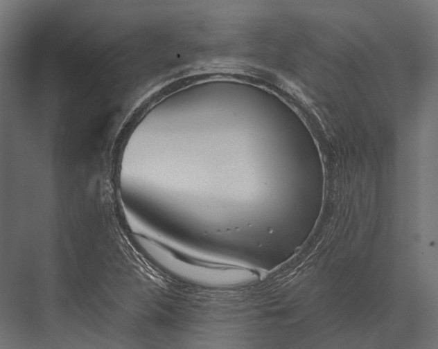 X0000076061312200610061526