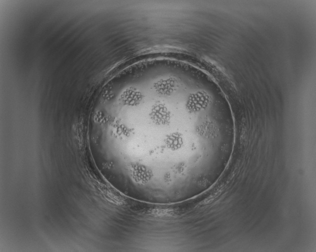 X0000076061313200610061526