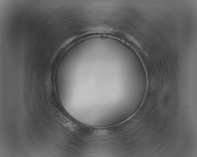 X0000076061315200610061526