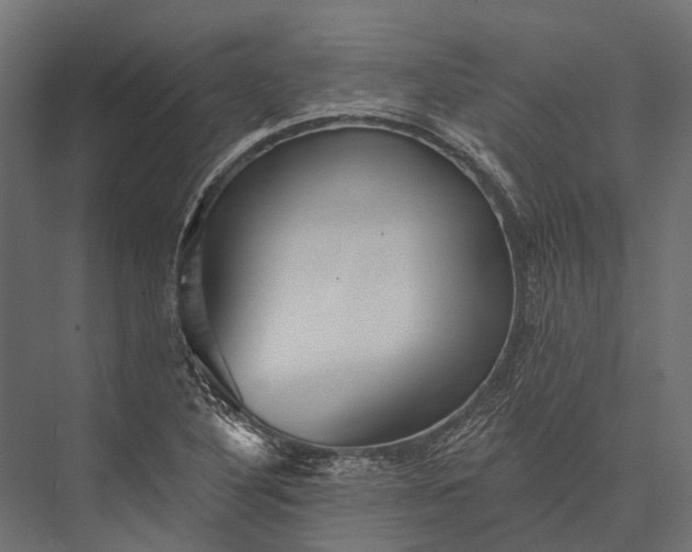 X0000076061316200610061526