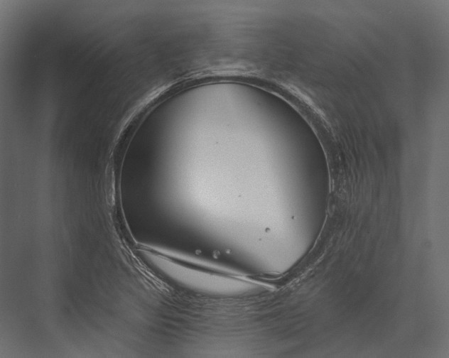 X0000076061317200610061526