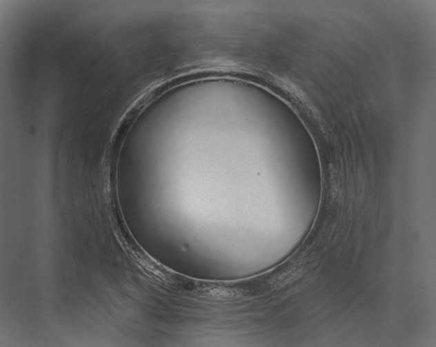 X0000076061318200610061526