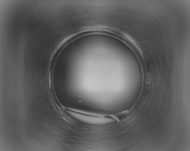 X0000076061320200610061526