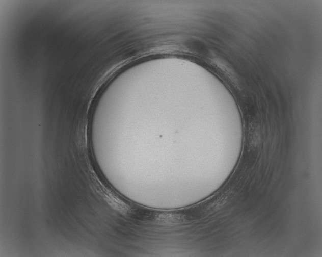 X0000076061322200610061526