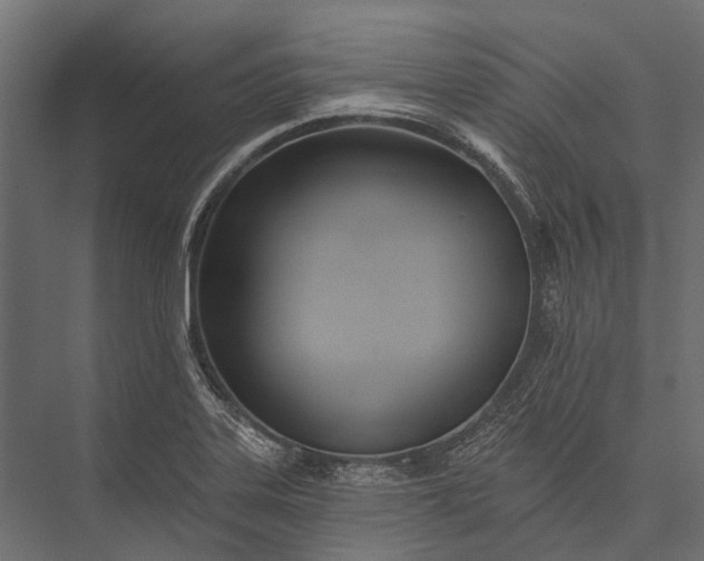 X0000076061323200610061526