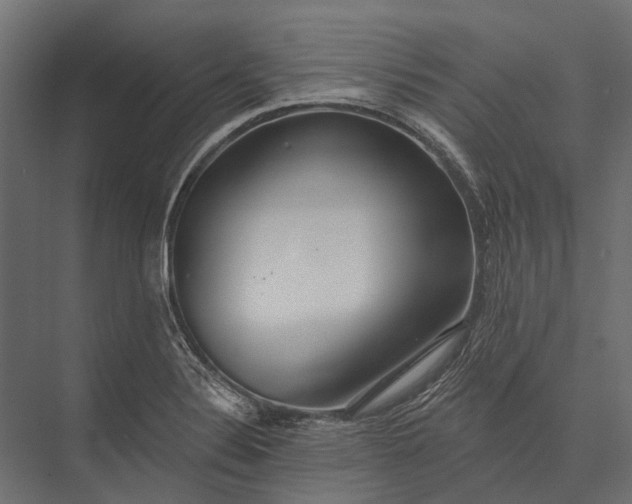 X0000076061324200610061526