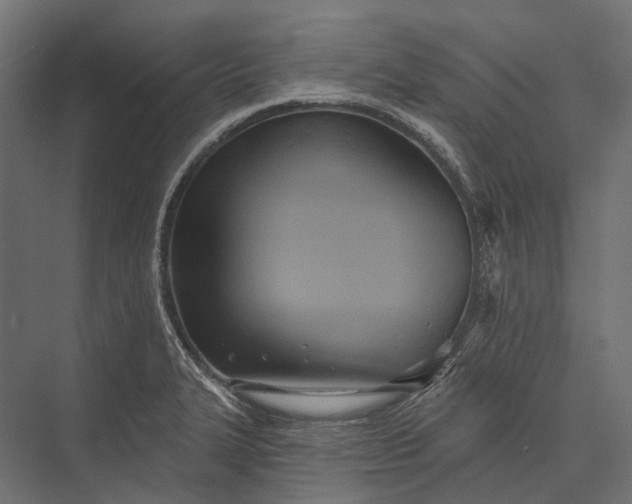 X0000076061327200610061526