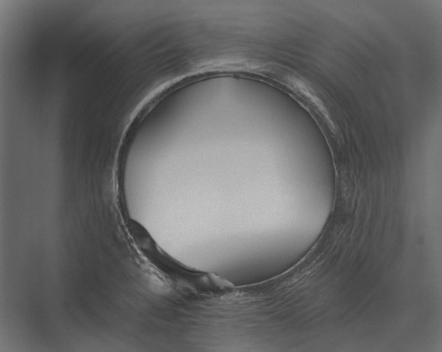 X0000076061328200610061526