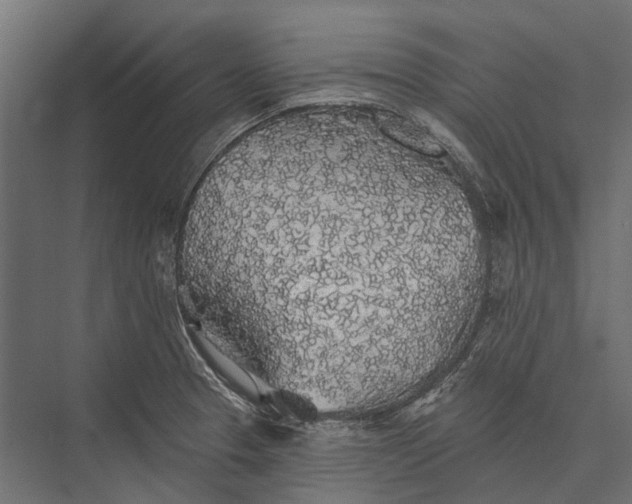 X0000076061329200610061526