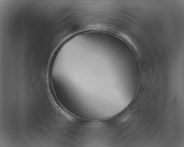 X0000076061331200610061526