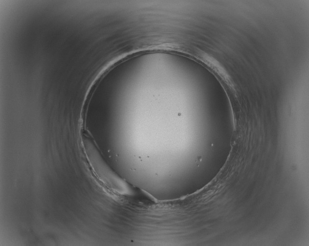 X0000076061332200610061526