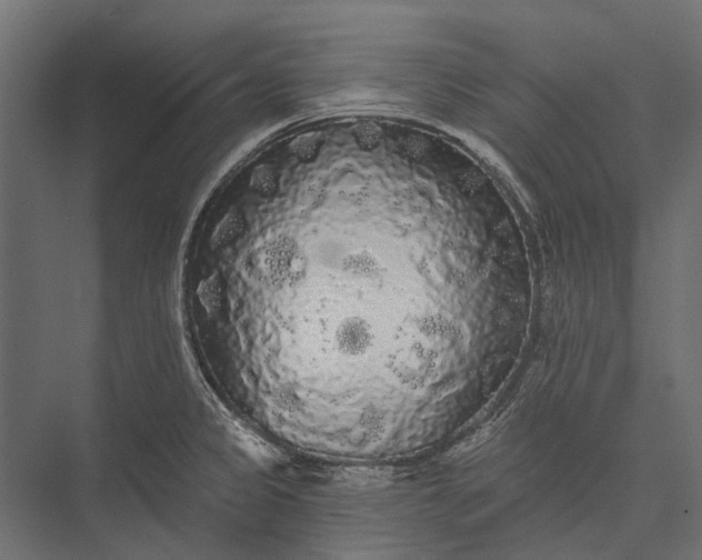 X0000076061333200610061526