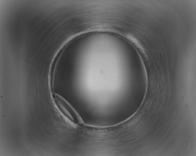 X0000076061334200610061526