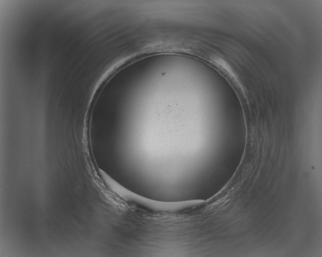 X0000076061336200610061526