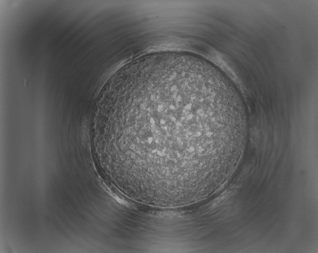 X0000076061337200610061526