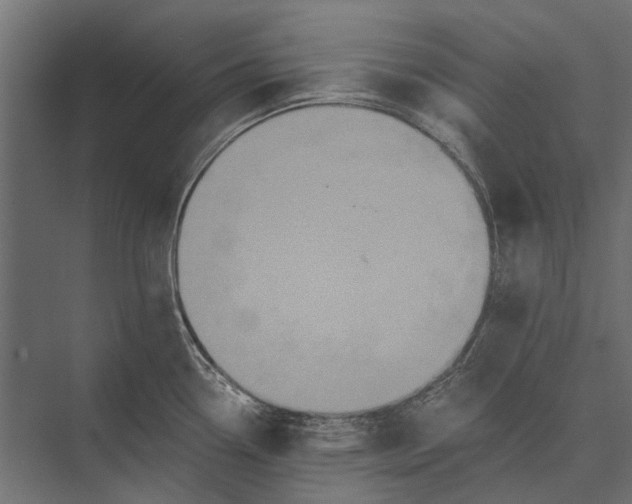 X0000076061338200610061526