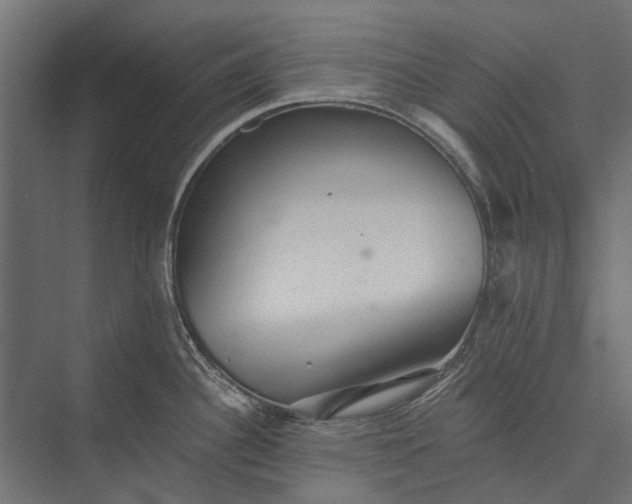 X0000076061340200610061526