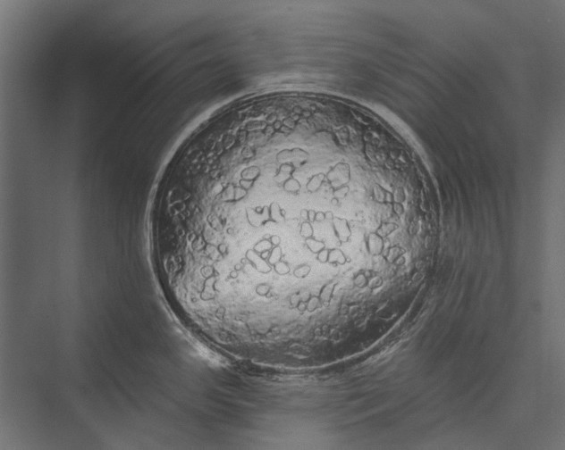 X0000076061341200610061526