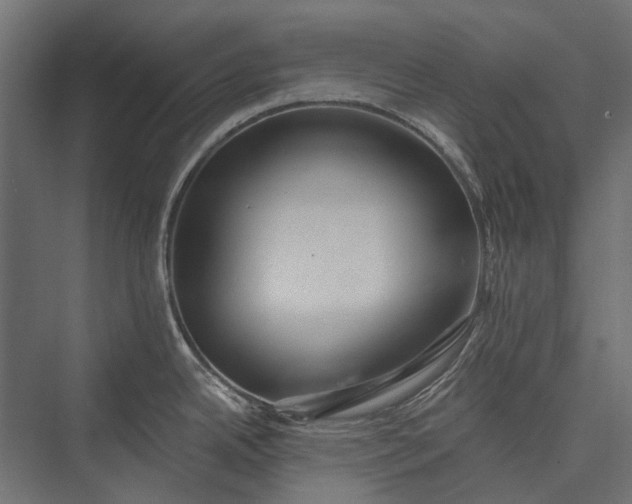 X0000076061342200610061526