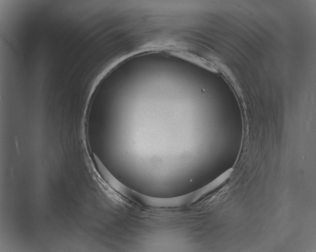 X0000076061344200610061526