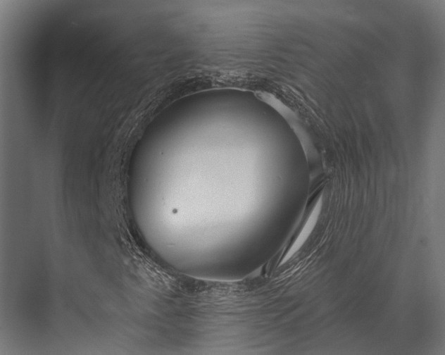 X0000076061345200610061525