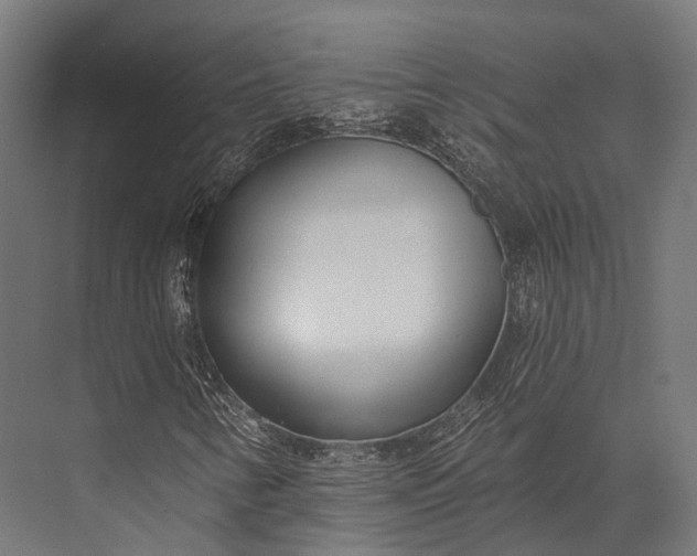 X0000076061346200610061525