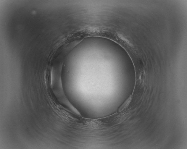 X0000076061348200610061525