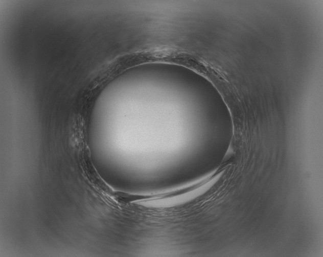 X0000076061349200610061525