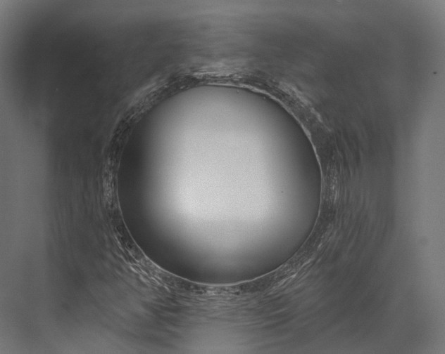 X0000076061350200610061525