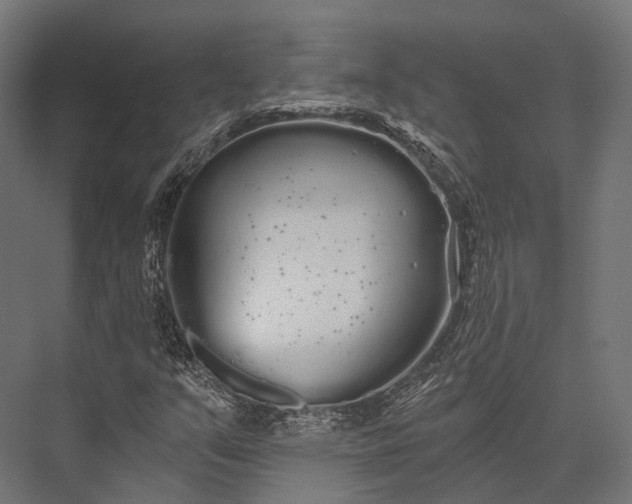 X0000076061351200610061525