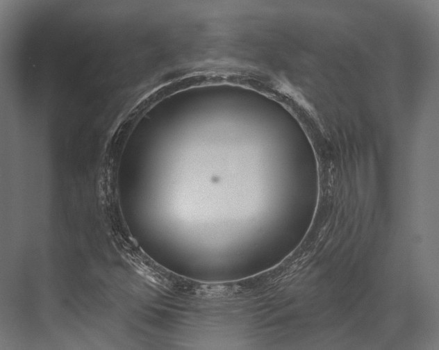 X0000076061352200610061525