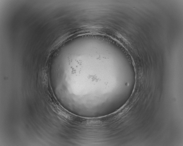 X0000076061354200610061525