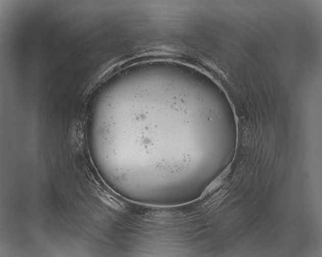 X0000076061355200610061525