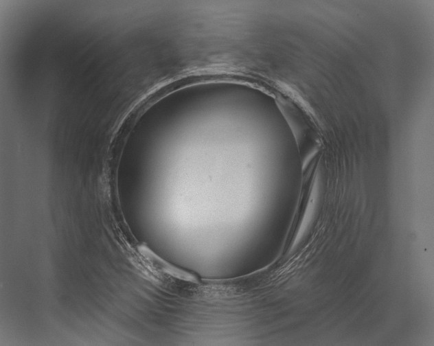 X0000076061356200610061525