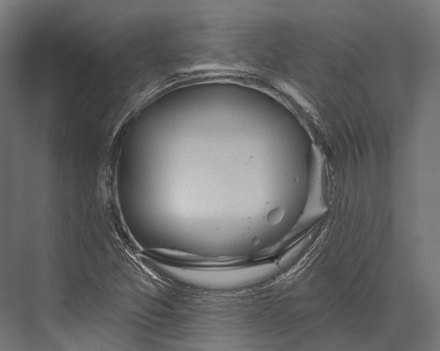 X0000076061357200610061525