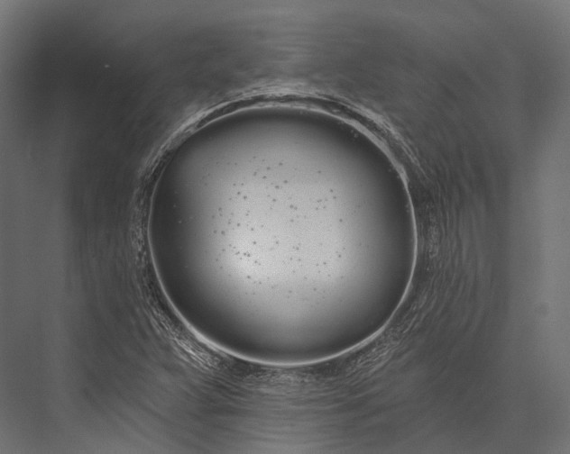 X0000076061359200610061525