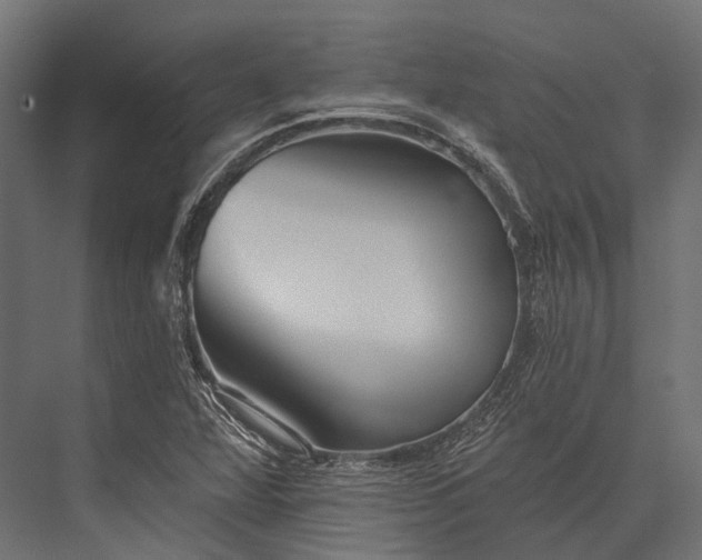 X0000076061360200610061525