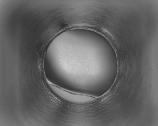 X0000076061361200610061525