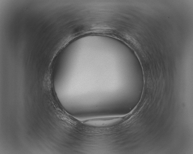 X0000076061362200610061525