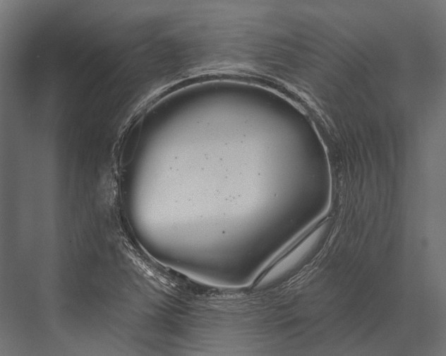 X0000076061363200610061525