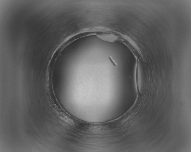 X0000076061364200610061525