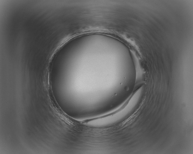 X0000076061365200610061525