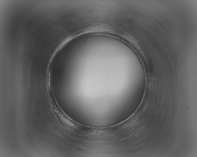 X0000076061366200610061525