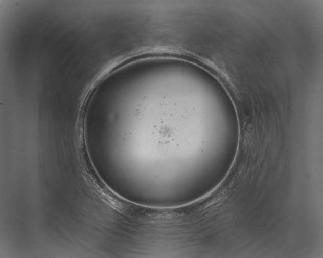 X0000076061367200610061525