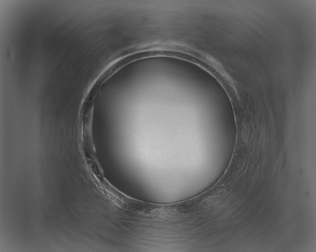 X0000076061368200610061525