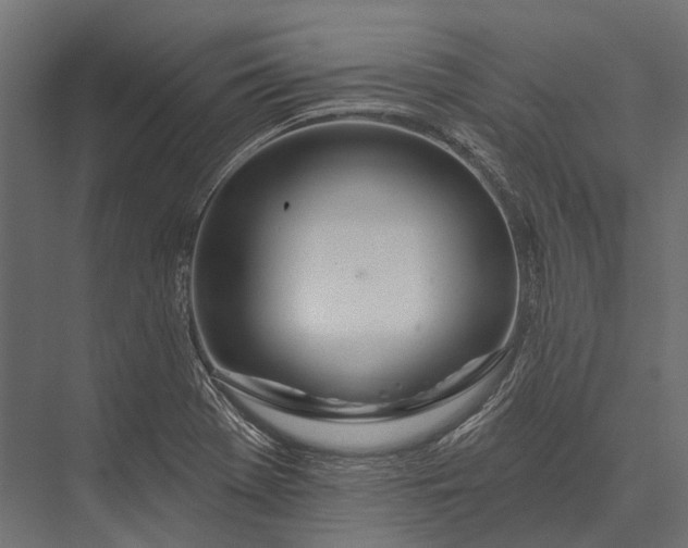 X0000076061369200610061525