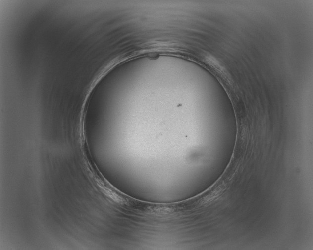 X0000076061370200610061525